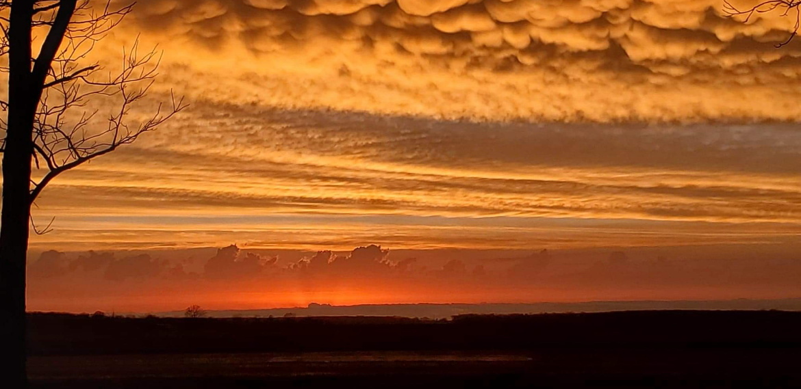 Sunset - Garry Makamson Farms